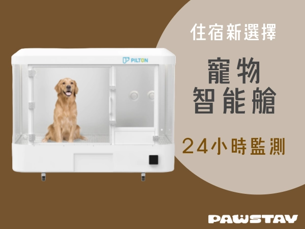 台中寵物住宿新體驗【寵物智能艙】讓你的狗狗就像在度假一樣