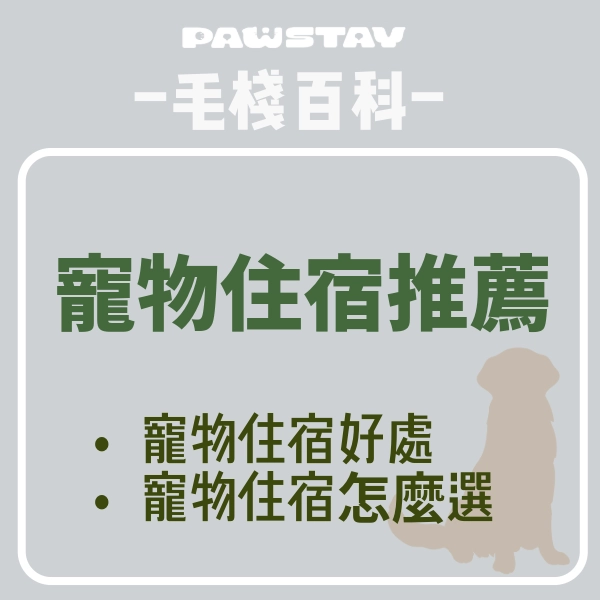 寵物住宿推薦｜寵物美容、寵物住宿｜毛棧是你的安心選擇