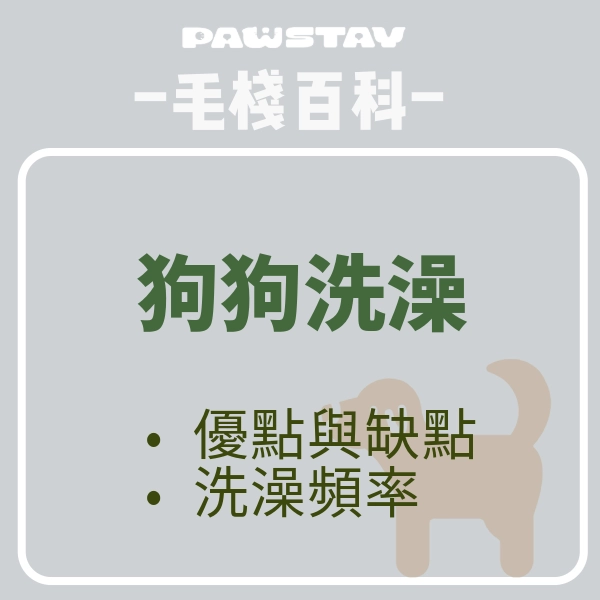 過年快到狗狗也要香噴噴｜狗狗洗澡很麻煩？寵物洗澡有哪些選擇？