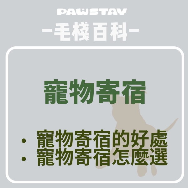 你需要寵物寄宿嗎？寵物寄宿的好處有什麼？PawStay毛棧專業寵物寄宿服務