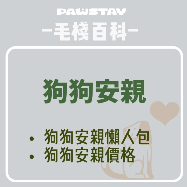 狗狗安親必讀重點|狗狗安親價格|狗狗安親準備與注意事項