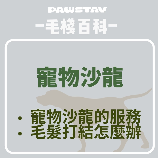 毛孩的頂級享受｜寵物沙龍｜幫你解決貓狗指甲、毛髮困擾