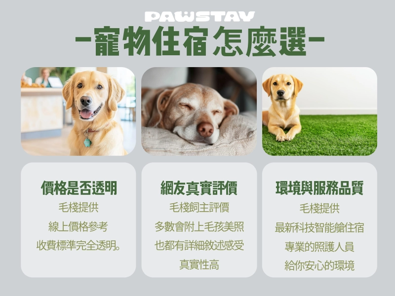 寵物住宿怎麼選?