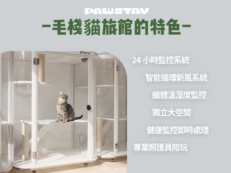 毛棧貓旅館特色