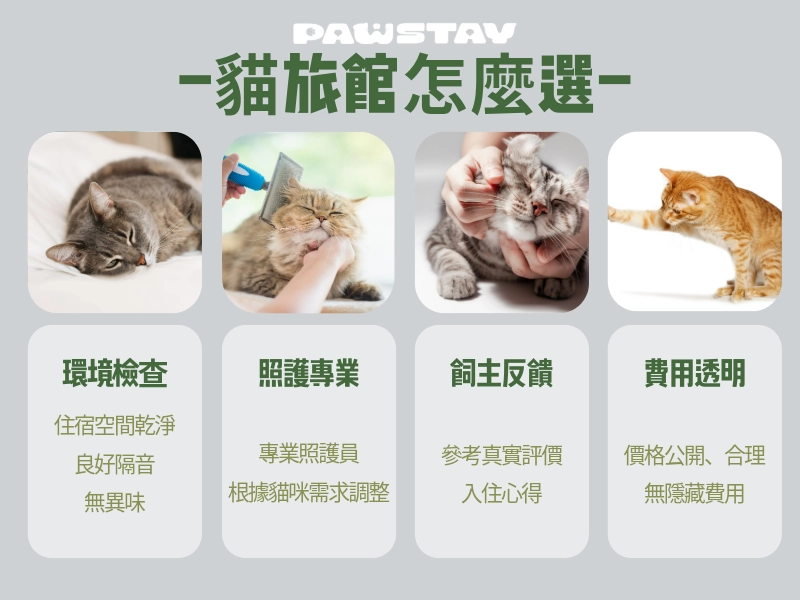 貓旅館怎麼選