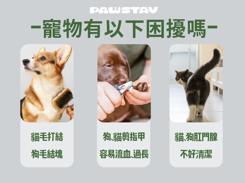 寵物有以下困擾嗎