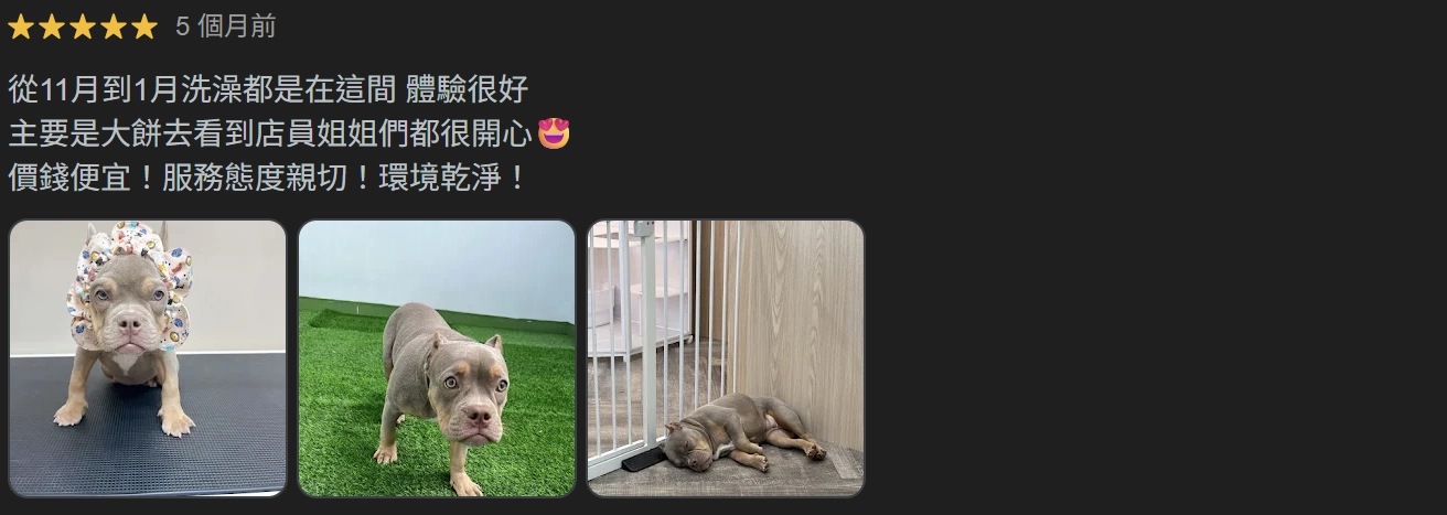 PawStay 毛棧真實的飼主評價