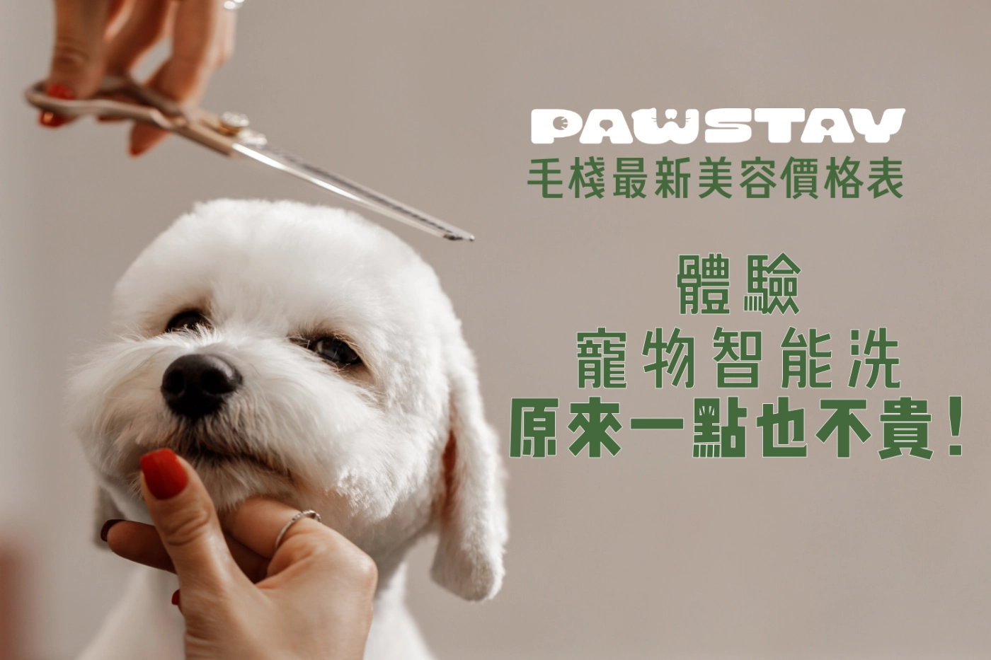 毛棧寵物美容價目表