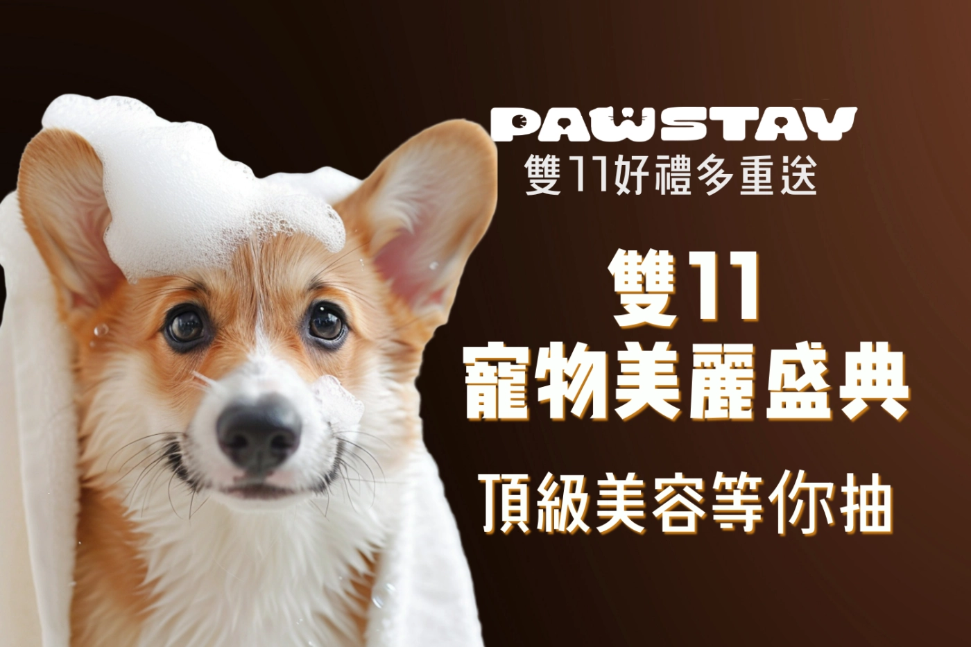 毛棧送你頂級美容護理｜雙11寵物美麗盛典｜一起成為幸運毛孩！